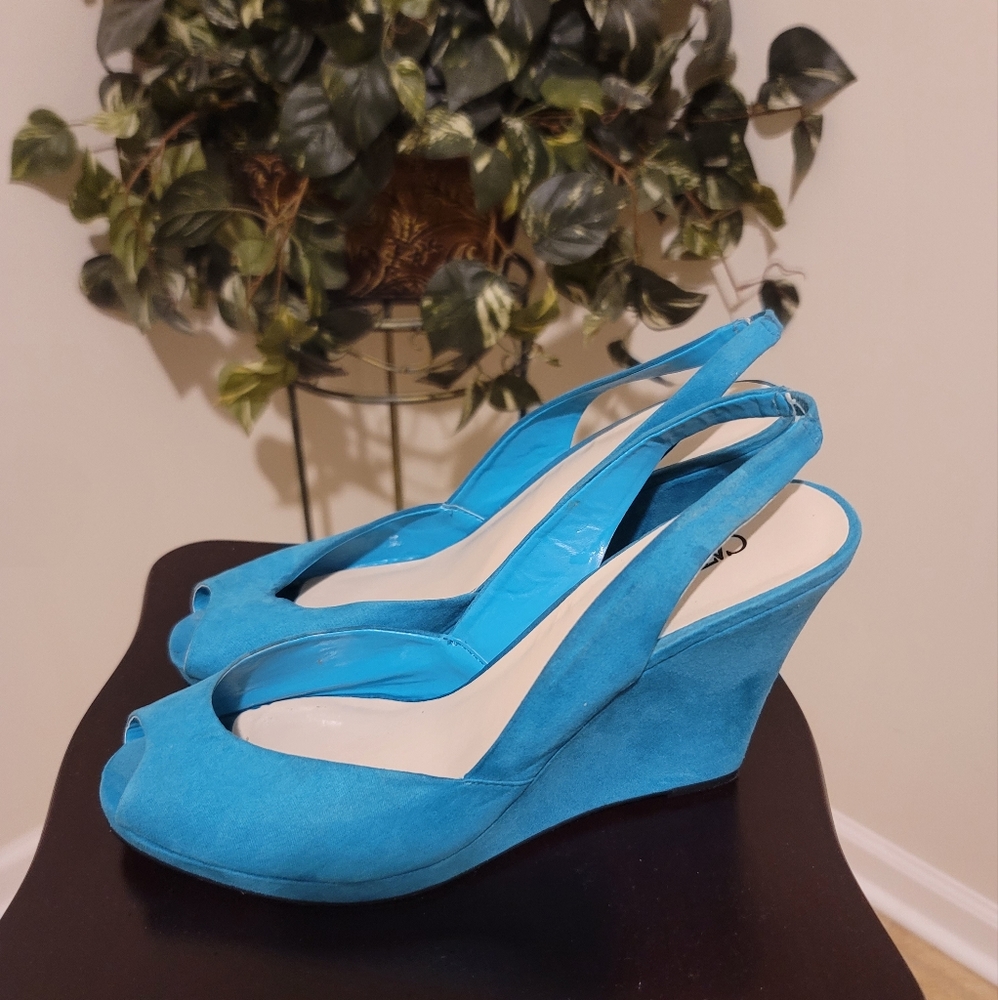 Shoes- Wedge Heel Size 11